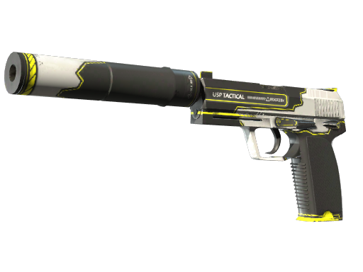 USP-S StatTrak™ | Torque